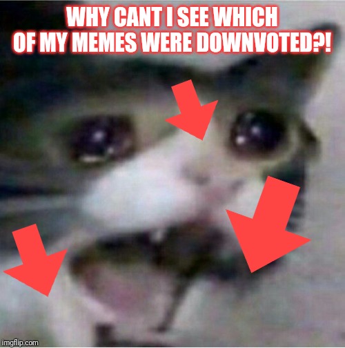 crying cat | WHY CANT I SEE WHICH OF MY MEMES WERE DOWNVOTED?! | image tagged in crying cat | made w/ Imgflip meme maker