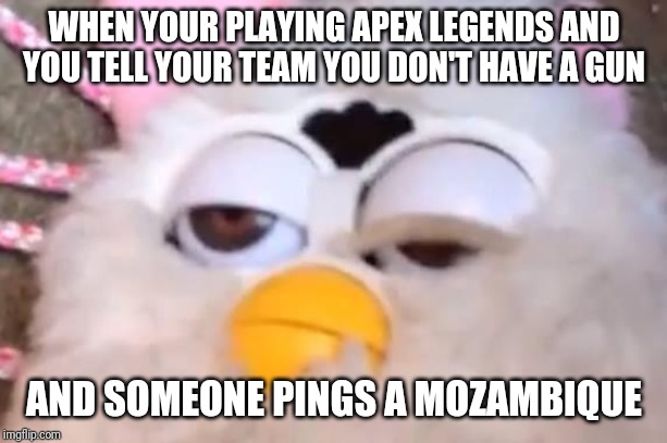 High Furby |  WHEN YOUR PLAYING APEX LEGENDS AND YOU TELL YOUR TEAM YOU DON'T HAVE A GUN; AND SOMEONE PINGS A MOZAMBIQUE | image tagged in high furby | made w/ Imgflip meme maker