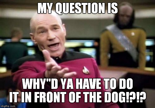 MY QUESTION IS WHY"D YA HAVE TO DO IT IN FRONT OF THE DOG!?!? | image tagged in memes,picard wtf | made w/ Imgflip meme maker