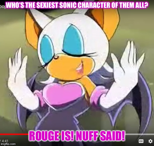 WHOS THE SEXIEST SONIC CHARACTER OF THEM ALL?! | WHO’S THE SEXIEST SONIC CHARACTER OF THEM ALL? ROUGE IS! NUFF SAID! | image tagged in whos the sexiest sonic character of them all | made w/ Imgflip meme maker