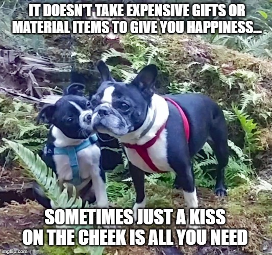 lippy-the-boston | IT DOESN'T TAKE EXPENSIVE GIFTS OR MATERIAL ITEMS TO GIVE YOU HAPPINESS... SOMETIMES JUST A KISS ON THE CHEEK IS ALL YOU NEED | image tagged in lippy-the-boston | made w/ Imgflip meme maker