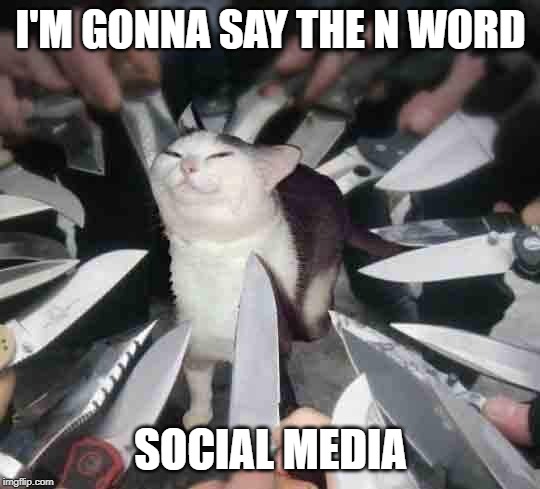 Knife Cat | I'M GONNA SAY THE N WORD; SOCIAL MEDIA | image tagged in knife cat | made w/ Imgflip meme maker