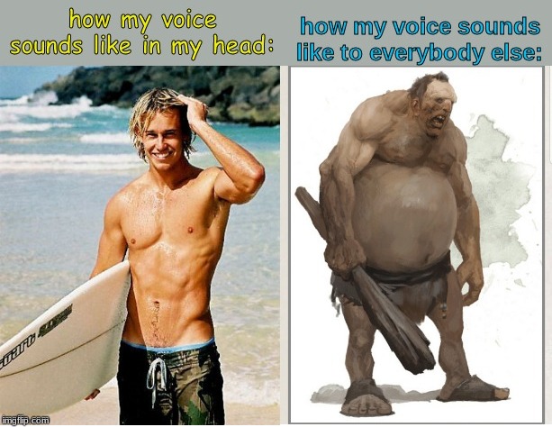 image tagged in memes,ogre,surfer,voice | made w/ Imgflip meme maker