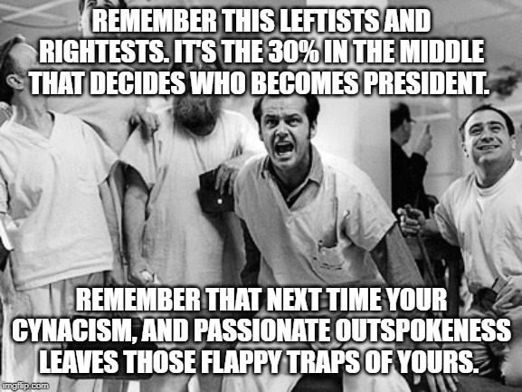 Lunatics | REMEMBER THIS LEFTISTS AND RIGHTESTS. IT'S THE 30% IN THE MIDDLE THAT DECIDES WHO BECOMES PRESIDENT. REMEMBER THAT NEXT TIME YOUR CYNACISM, AND PASSIONATE OUTSPOKENESS LEAVES THOSE FLAPPY TRAPS OF YOURS. | image tagged in alt right,regressive left,extremist,election,president | made w/ Imgflip meme maker