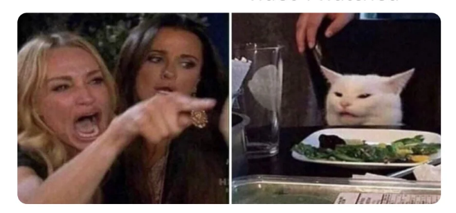 Cat on a plate Blank Meme Template