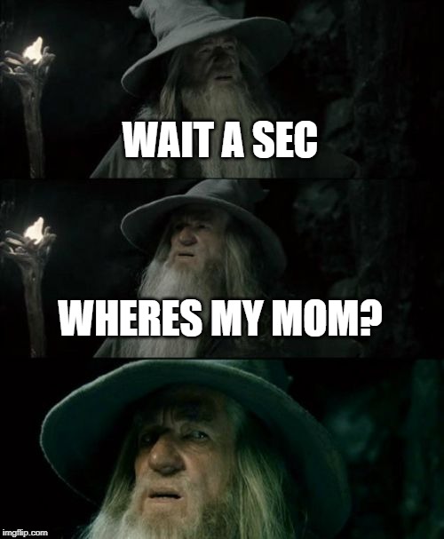 Confused Gandalf | WAIT A SEC; WHERES MY MOM? | image tagged in memes,confused gandalf | made w/ Imgflip meme maker