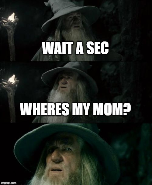 Confused Gandalf Meme | WAIT A SEC; WHERES MY MOM? | image tagged in memes,confused gandalf | made w/ Imgflip meme maker