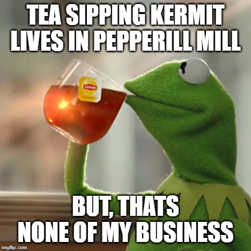 But That's None Of My Business Meme | TEA SIPPING KERMIT LIVES IN PEPPERILL MILL; BUT, THATS NONE OF MY BUSINESS | image tagged in memes,but thats none of my business,kermit the frog | made w/ Imgflip meme maker