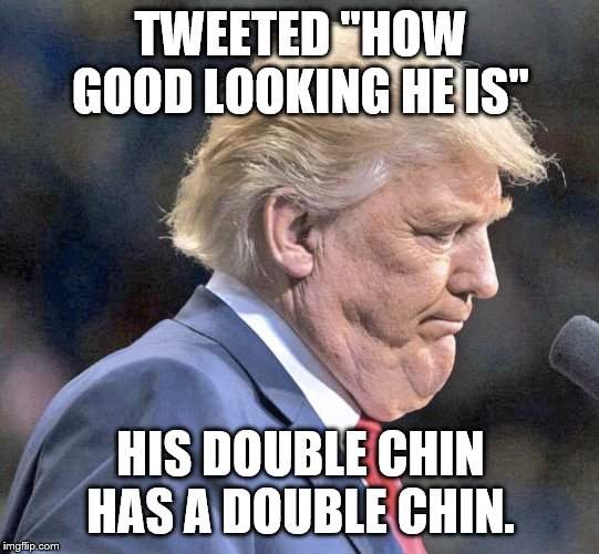 Trump chins | TWEETED "HOW GOOD LOOKING HE IS"; HIS DOUBLE CHIN HAS A DOUBLE CHIN. | image tagged in trump chins | made w/ Imgflip meme maker