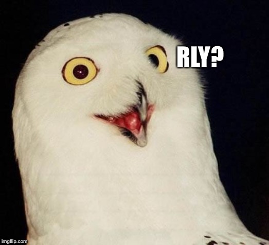 O RLY? | RLY? | image tagged in o rly | made w/ Imgflip meme maker