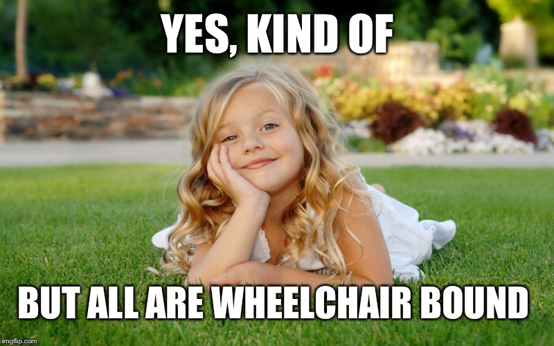 YES, KIND OF BUT ALL ARE WHEELCHAIR BOUND | made w/ Imgflip meme maker