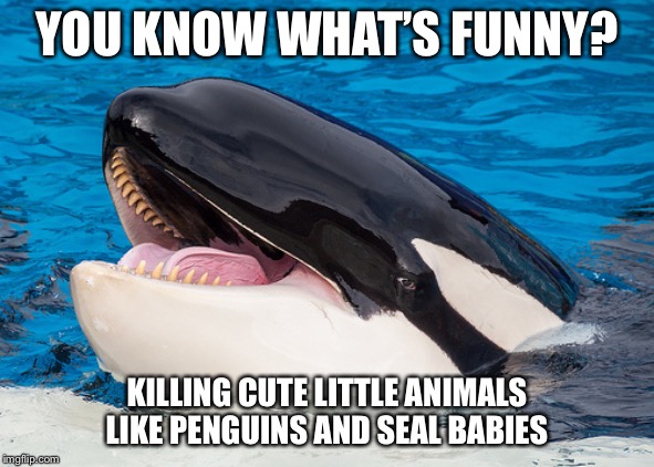 Hehehe orca | YOU KNOW WHAT’S FUNNY? KILLING CUTE LITTLE ANIMALS LIKE PENGUINS AND SEAL BABIES | image tagged in hehehe orca,memes,funny,so true | made w/ Imgflip meme maker
