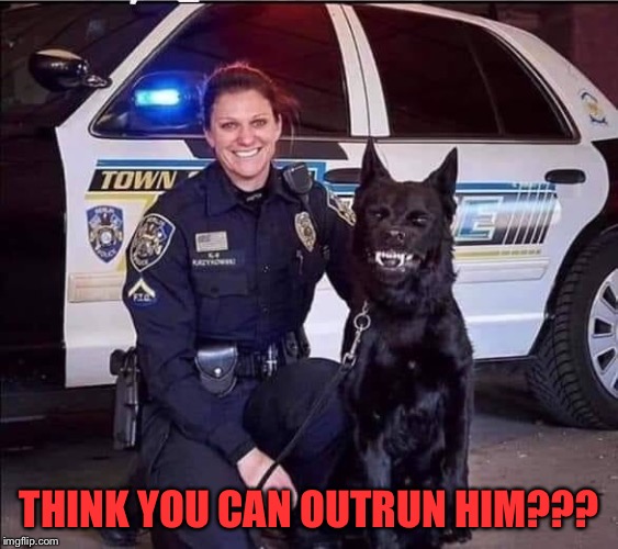 THINK YOU CAN OUTRUN HIM??? | image tagged in police dogs | made w/ Imgflip meme maker