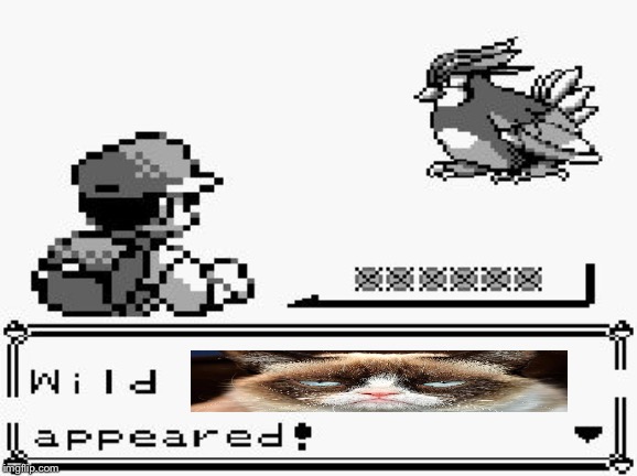 pokemon appears | image tagged in pokemon appears | made w/ Imgflip meme maker