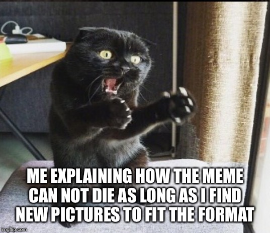 The meme cannot die | ME EXPLAINING HOW THE MEME CAN NOT DIE AS LONG AS I FIND NEW PICTURES TO FIT THE FORMAT | image tagged in trying to explain,cat,memes,fresh | made w/ Imgflip meme maker