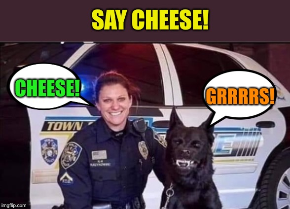 CHEESE! GRRRRS! SAY CHEESE! | made w/ Imgflip meme maker