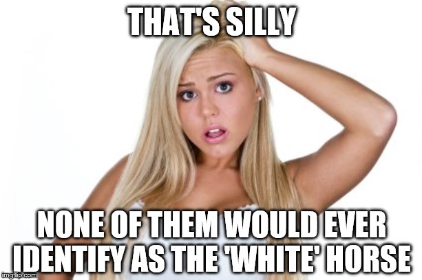 Dumb Blonde | THAT'S SILLY NONE OF THEM WOULD EVER IDENTIFY AS THE 'WHITE' HORSE | image tagged in dumb blonde | made w/ Imgflip meme maker