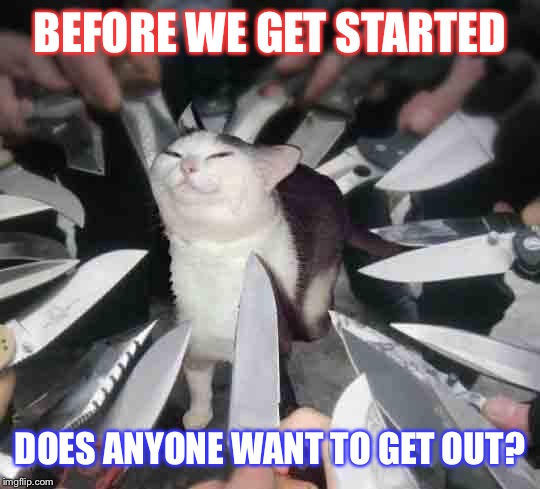 Knife Cat | BEFORE WE GET STARTED DOES ANYONE WANT TO GET OUT? | image tagged in knife cat | made w/ Imgflip meme maker