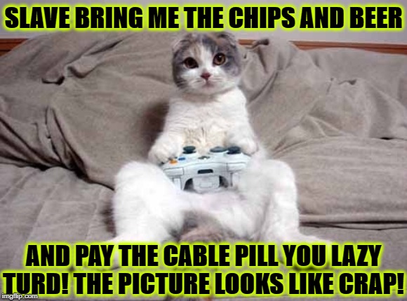 LAZY TURD | SLAVE BRING ME THE CHIPS AND BEER; AND PAY THE CABLE PILL YOU LAZY TURD! THE PICTURE LOOKS LIKE CRAP! | image tagged in lazy turd | made w/ Imgflip meme maker