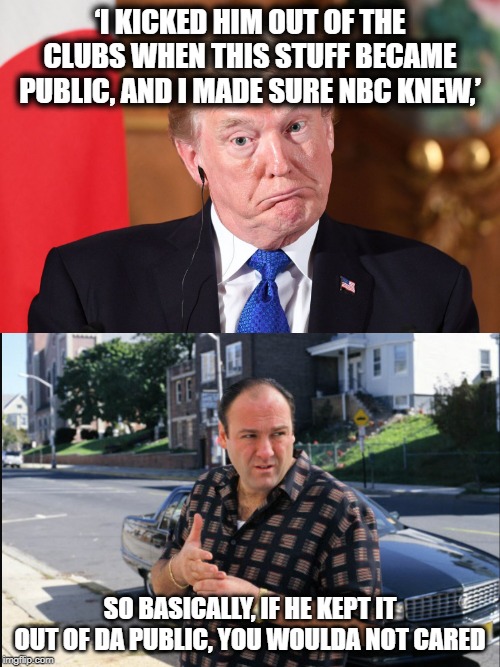 Trouble is a brewin | ‘I KICKED HIM OUT OF THE CLUBS WHEN THIS STUFF BECAME PUBLIC, AND I MADE SURE NBC KNEW,’; SO BASICALLY, IF HE KEPT IT OUT OF DA PUBLIC, YOU WOULDA NOT CARED | image tagged in trump dumbfounded,memes,politics,maga,impeach trump | made w/ Imgflip meme maker