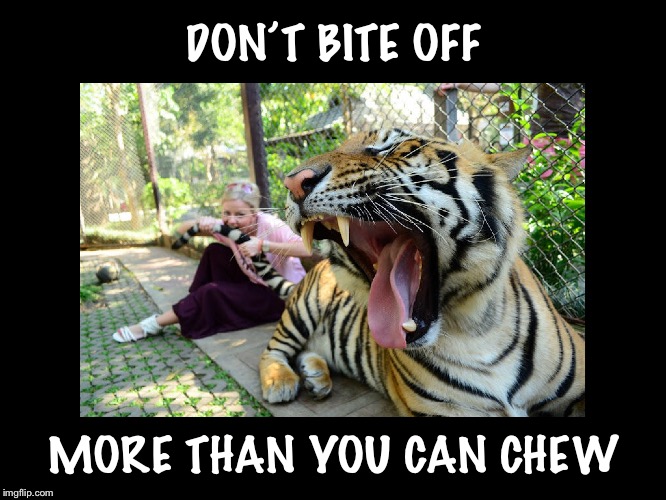 Wise Advice | DON’T BITE OFF; MORE THAN YOU CAN CHEW | image tagged in big cat,tiger,tail,bite,chew | made w/ Imgflip meme maker