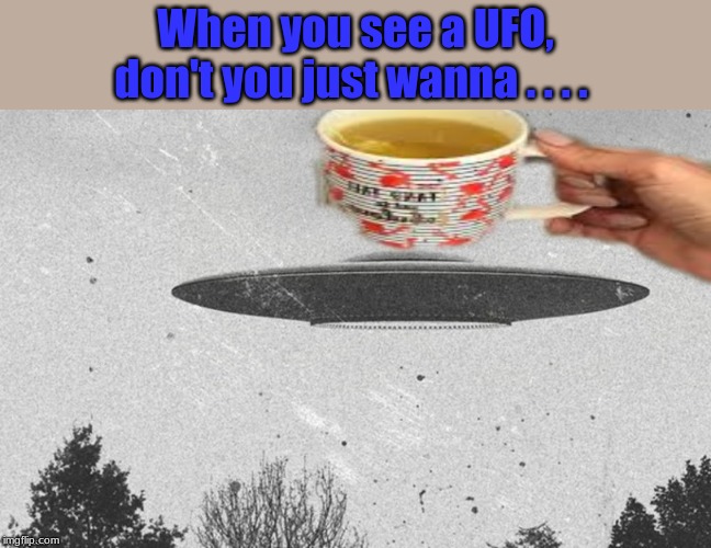 Probably just me but . . . . | When you see a UFO, don't you just wanna . . . . | image tagged in aliens,memes | made w/ Imgflip meme maker