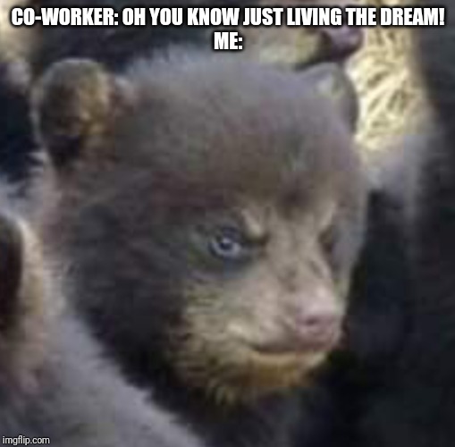 Who Farted | CO-WORKER: OH YOU KNOW JUST LIVING THE DREAM!
ME: | image tagged in who farted | made w/ Imgflip meme maker