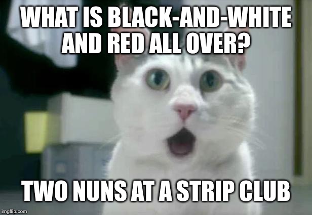 Made this up in 5th grade | WHAT IS BLACK-AND-WHITE AND RED ALL OVER? TWO NUNS AT A STRIP CLUB | image tagged in memes,omg cat | made w/ Imgflip meme maker