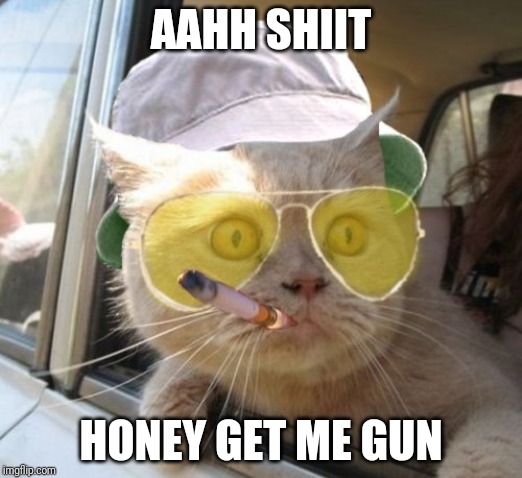 Fear And Loathing Cat Meme | AAHH SHIIT; HONEY GET ME GUN | image tagged in memes,fear and loathing cat | made w/ Imgflip meme maker