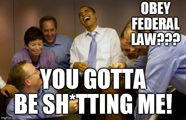 And then I said Obama Meme | OBEY FEDERAL LAW??? YOU GOTTA BE SH*TTING ME! | image tagged in memes,and then i said obama | made w/ Imgflip meme maker