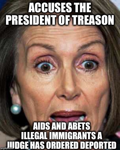 ACCUSES THE PRESIDENT OF TREASON; AIDS AND ABETS ILLEGAL IMMIGRANTS A JUDGE HAS ORDERED DEPORTED | image tagged in nancy pelosi,illegal immigration | made w/ Imgflip meme maker