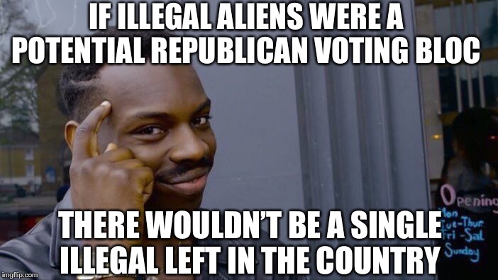 Roll Safe Think About It | IF ILLEGAL ALIENS WERE A POTENTIAL REPUBLICAN VOTING BLOC; THERE WOULDN’T BE A SINGLE ILLEGAL LEFT IN THE COUNTRY | image tagged in memes,roll safe think about it,illegal aliens,democrats | made w/ Imgflip meme maker