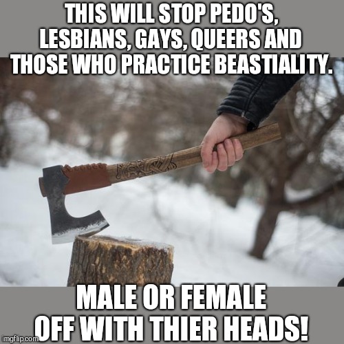 THIS WILL STOP PEDO'S, LESBIANS, GAYS, QUEERS AND THOSE WHO PRACTICE BEASTIALITY. MALE OR FEMALE OFF WITH THIER HEADS! | made w/ Imgflip meme maker