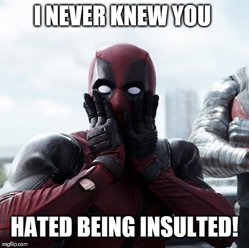 Deadpool Surprised | I NEVER KNEW YOU; HATED BEING INSULTED! | image tagged in memes,deadpool surprised | made w/ Imgflip meme maker