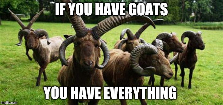If you have goats | IF YOU HAVE GOATS; YOU HAVE EVERYTHING | image tagged in ghost,goat,funny,metal,puns | made w/ Imgflip meme maker