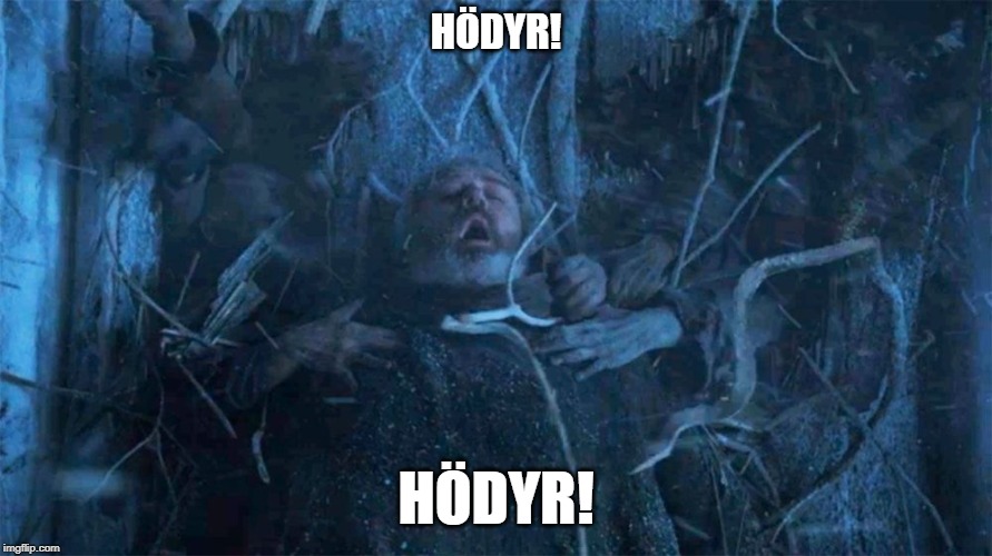 Hold Door Hodor | HÖDYR! HÖDYR! | image tagged in hold door hodor | made w/ Imgflip meme maker