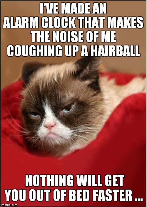 Grumpys Alarm Clock Idea | I'VE MADE AN ALARM CLOCK THAT MAKES THE NOISE OF ME COUGHING UP A HAIRBALL; NOTHING WILL GET YOU OUT OF BED FASTER … | image tagged in cats,grumpy cat | made w/ Imgflip meme maker