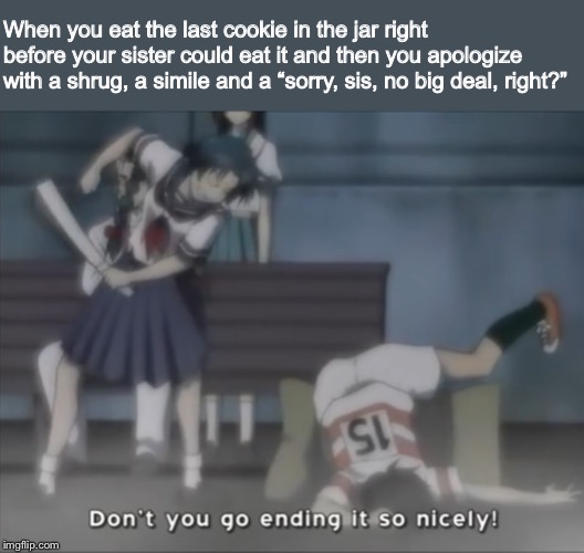 “No big deal my arse!” | When you eat the last cookie in the jar right before your sister could eat it and then you apologize with a shrug, a simile and a “sorry, sis, no big deal, right?” | image tagged in full metal panic,sousuke,chidori,fumoffu,cookies,sister | made w/ Imgflip meme maker