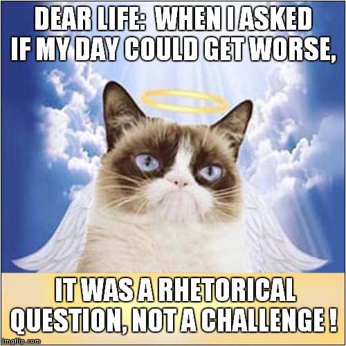 Grumpys Thought For The Day | DEAR LIFE:  WHEN I ASKED IF MY DAY COULD GET WORSE, IT WAS A RHETORICAL QUESTION, NOT A CHALLENGE ! | image tagged in cats,grumpy cat | made w/ Imgflip meme maker