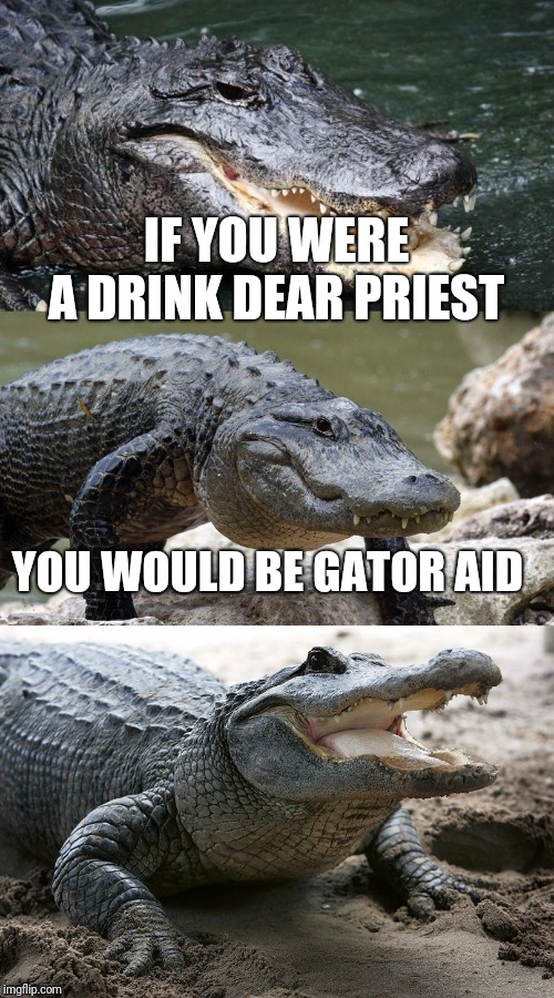 Bad Pun Alligator | IF YOU WERE A DRINK DEAR PRIEST YOU WOULD BE GATOR AID | image tagged in bad pun alligator | made w/ Imgflip meme maker