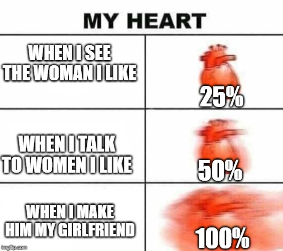 MY GIRLFRIEND | WHEN I SEE THE WOMAN I LIKE; 25%; WHEN I TALK TO WOMEN I LIKE; 50%; WHEN I MAKE HIM MY GIRLFRIEND; 100% | image tagged in my heart blank,girlfriend | made w/ Imgflip meme maker