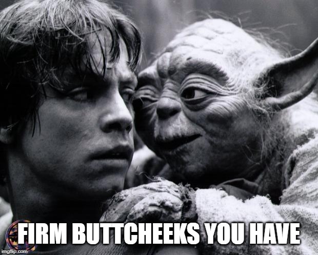 Yoda & Luke | FIRM BUTTCHEEKS YOU HAVE | image tagged in yoda  luke | made w/ Imgflip meme maker