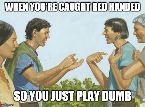 WHEN YOU'RE CAUGHT RED HANDED; SO YOU JUST PLAY DUMB | image tagged in accused,caught | made w/ Imgflip meme maker