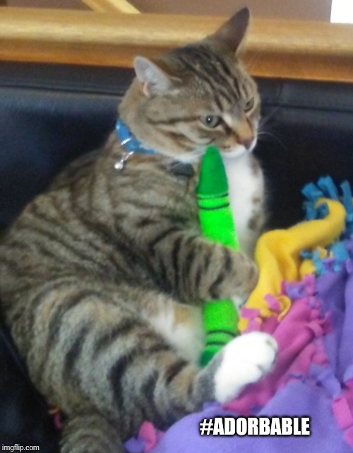 I Ran Out Of Meme Ideas So Enjoy This Pic Of My Cat Holding A Crayon Plush | #ADORBABLE | image tagged in adorable,cat,crayons,cute,memes | made w/ Imgflip meme maker