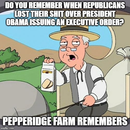 Pepperidge Farm Remembers Meme | DO YOU REMEMBER WHEN REPUBLICANS LOST THEIR SHIT OVER PRESIDENT OBAMA ISSUING AN EXECUTIVE ORDER? PEPPERIDGE FARM REMEMBERS | image tagged in memes,pepperidge farm remembers | made w/ Imgflip meme maker