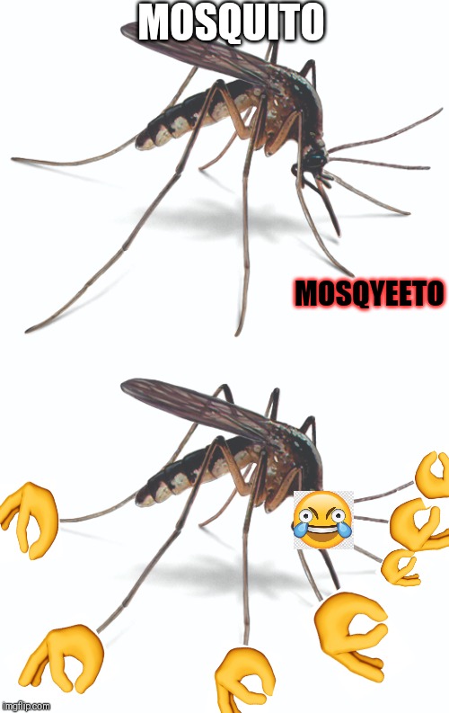 *YEET INTENSIFIES* | MOSQUITO; MOSQYEETO | image tagged in mosquito | made w/ Imgflip meme maker