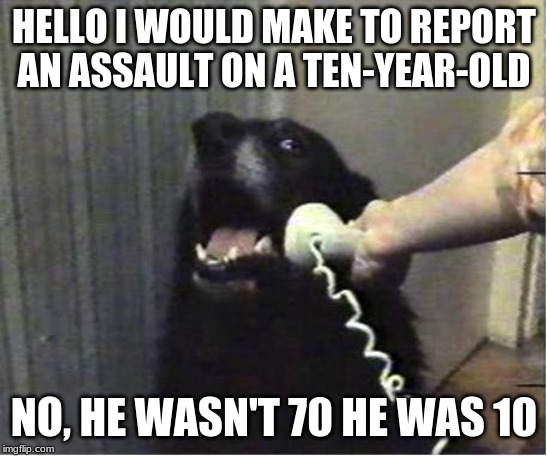 Yes this is dog | HELLO I WOULD MAKE TO REPORT AN ASSAULT ON A TEN-YEAR-OLD NO, HE WASN'T 70 HE WAS 10 | image tagged in yes this is dog | made w/ Imgflip meme maker