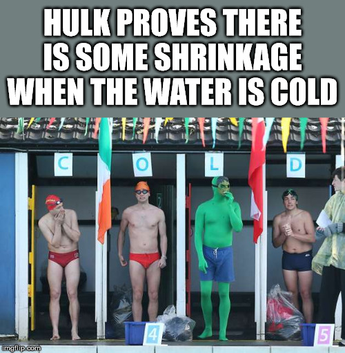 Yes. Significant shrinkage! | HULK PROVES THERE IS SOME SHRINKAGE WHEN THE WATER IS COLD | image tagged in shrinkage,seinfeld,funny meme | made w/ Imgflip meme maker