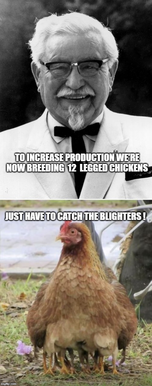 THIS IS REALLY FAST FOOD ! | TO INCREASE PRODUCTION WE'RE NOW BREEDING  12  LEGGED CHICKENS; JUST HAVE TO CATCH THE BLIGHTERS ! | image tagged in kfc colonel sanders,chickens,new breed | made w/ Imgflip meme maker