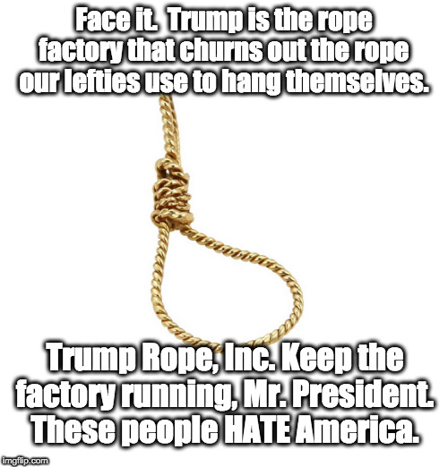 Trump Rope, Inc. | Face it.  Trump is the rope factory that churns out the rope our lefties use to hang themselves. Trump Rope, Inc. Keep the factory running, Mr. President. These people HATE America. | image tagged in trump derangement syndrome | made w/ Imgflip meme maker